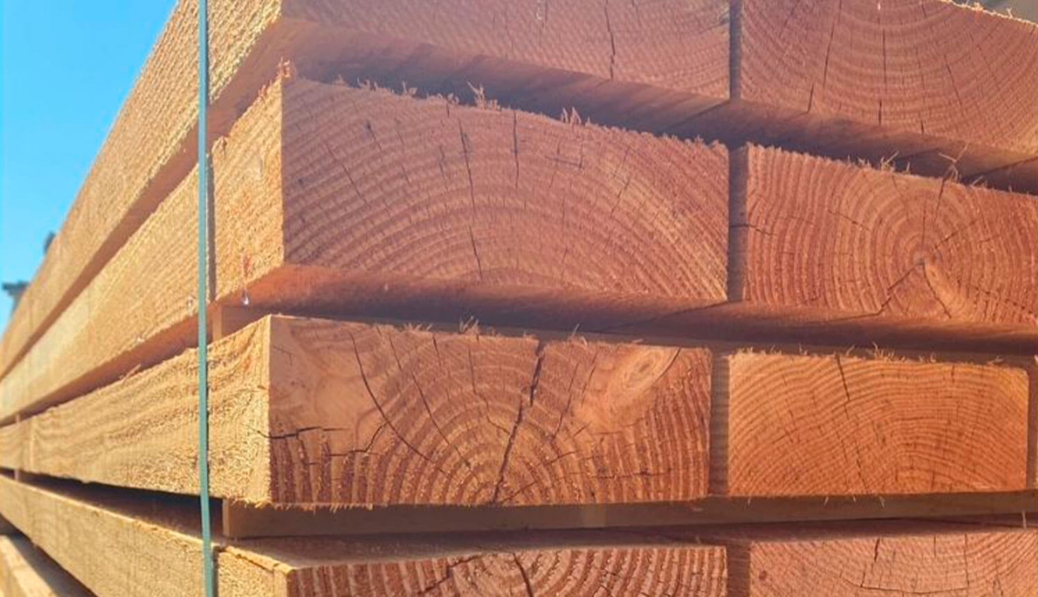 Madriers bruts pour coffrage